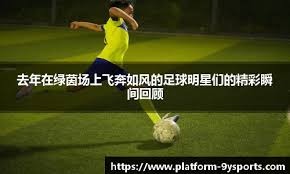 [中超]24年后“花”开工体 上海申花力克北京国安